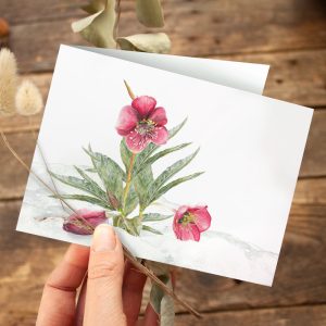 Klappkarte Weihnachten Christrose